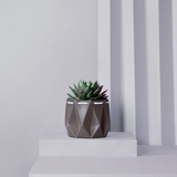 11cm Self-watering POTR Pot | Slate Grey