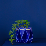 15cm Self-watering POTR Pot | Navy