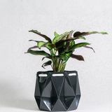 15cm Self-watering Ocean Pot | Midnight Green