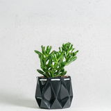 11cm Self-watering Ocean Pot | Midnight Green