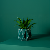 11cm Self-watering POTR Pot | Dark Teal