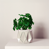 15cm Self-watering POTR Pot | Ivory White