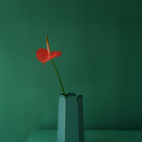 POTR Letterbox Vase | Dark Teal