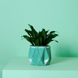 11cm Self-watering POTR Pot | Aqua