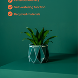 11cm Self-watering POTR Pot | Dark Teal