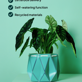 18cm Self-watering POTR Pot | Aqua