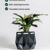 15cm Self-watering Ocean Pot | Midnight Green