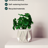 15cm Self-watering POTR Pot | Ivory White