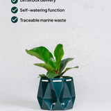11cm Self-watering Ocean Pot | Deep Green