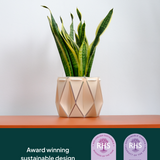 11cm Self-watering POTR Pot | Ivory White