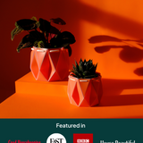 15cm Self-watering POTR Pot | Coral