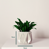 11cm Self-watering POTR Pot | Ivory White