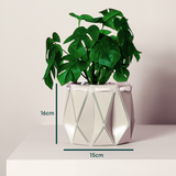 15cm Self-watering POTR Pot | Ivory White