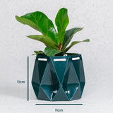 11cm Self-watering Ocean Pot | Deep Green
