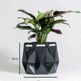 15cm Self-watering Ocean Pot | Midnight Green
