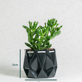 11cm Self-watering Ocean Pot | Midnight Green