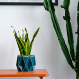 15cm Self-watering POTR Pot | Dark Teal