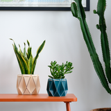 11cm Self-watering POTR Pot | Ivory White
