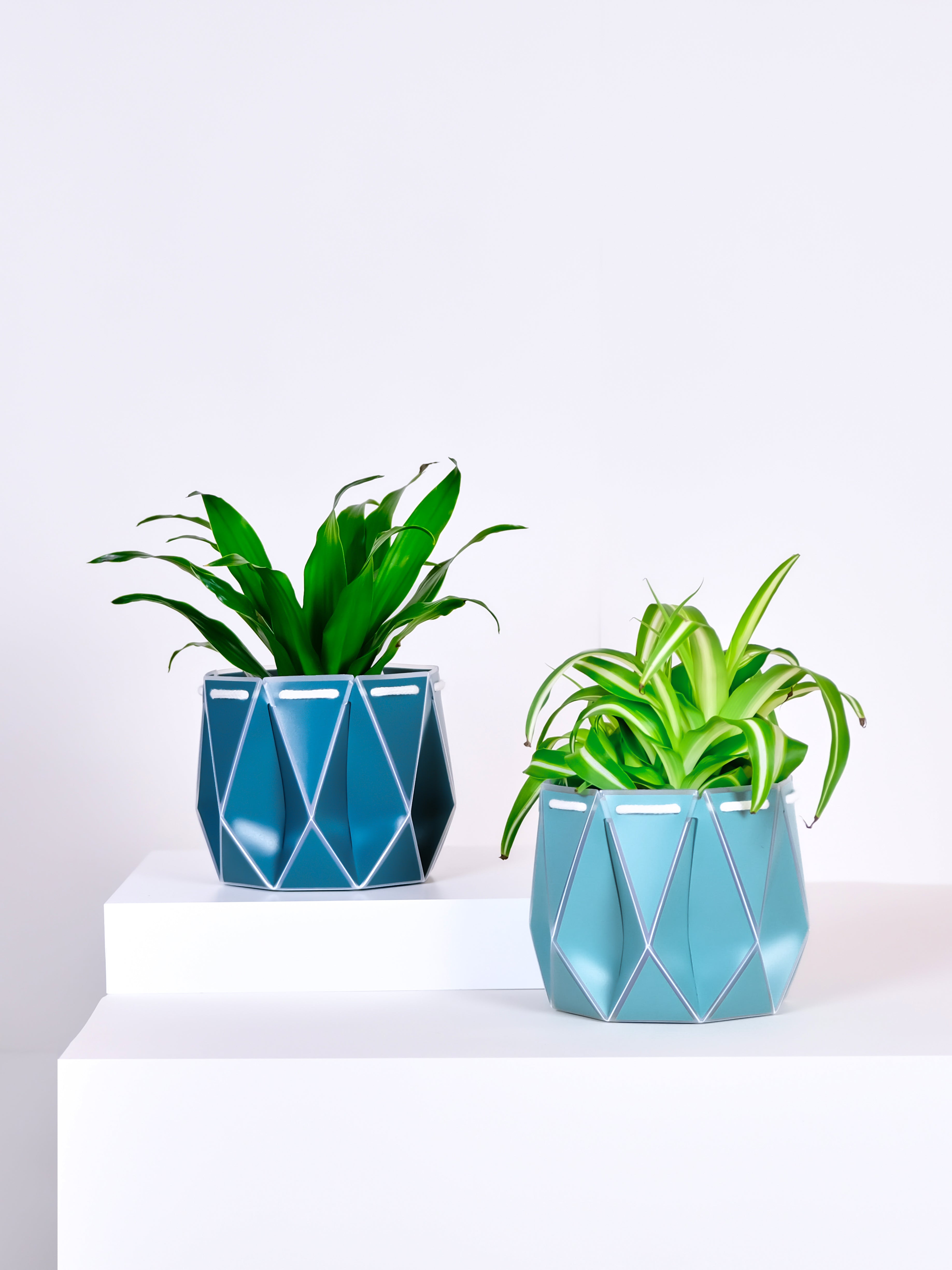 Flat packed plant pots sitting on a white plinth holding plants. Holistic sustainable product design.
