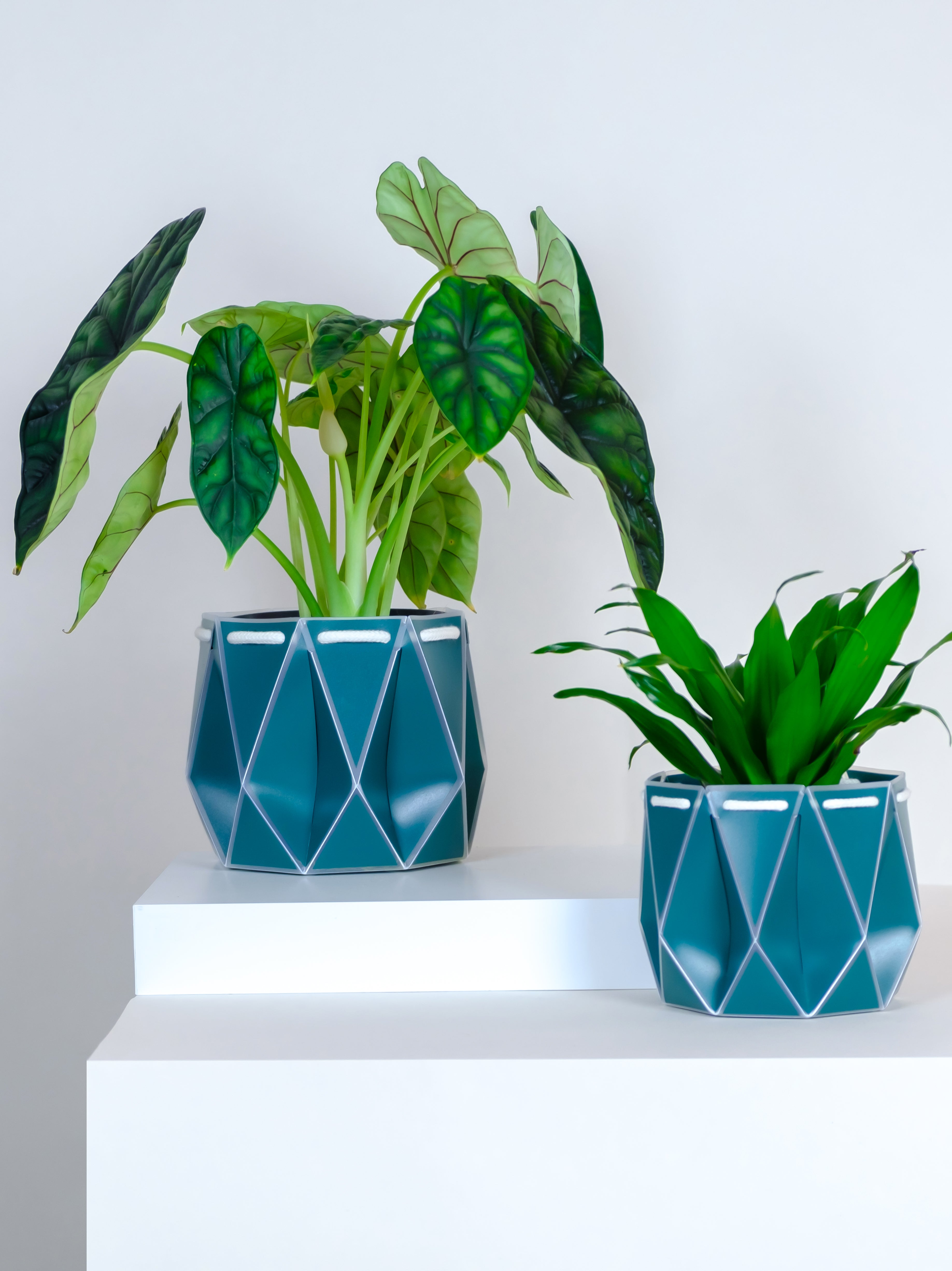 15cm and 11cm origami recycled plant pots designed to self-water. Delivered flat pack through your letterbox.