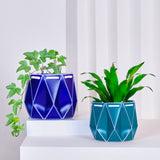 Navy blue and teal origami plant pots made from recycled plastic. Eco sustainable design used to self-water your plants.