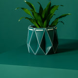 Pine green flat pack origami eco self-watering plant pot.
