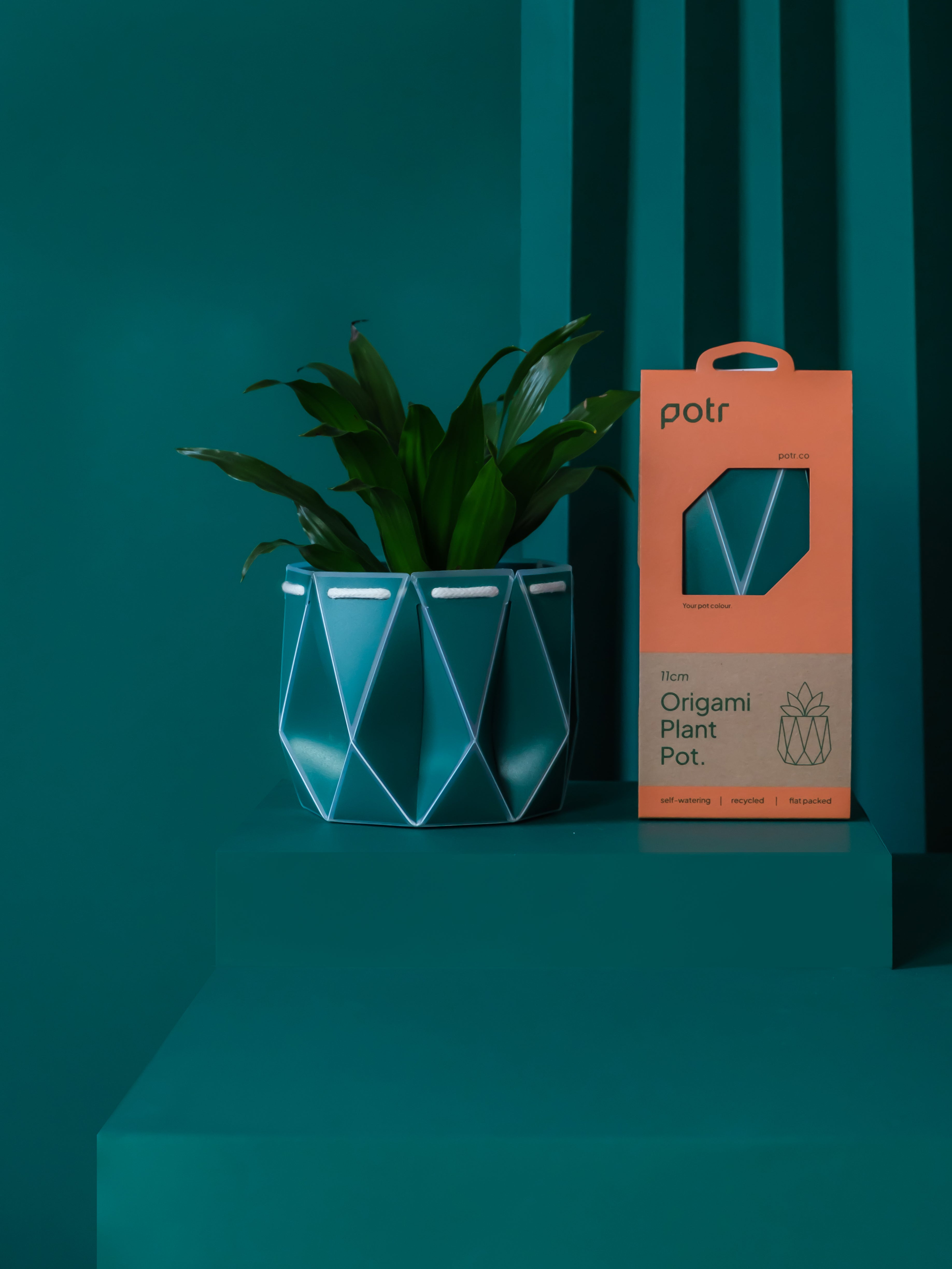 Pine green origami self-watering plant pot with recycled flat pack card packaging.