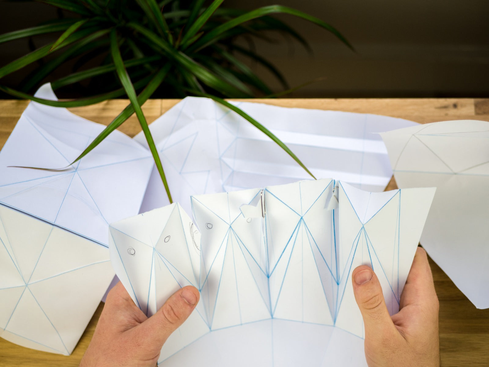 Person holding a geometric paper model with blue lines on a wooden table.