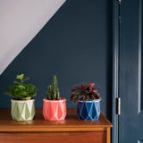 10cm POTR Pot Trio | Coloured Pots