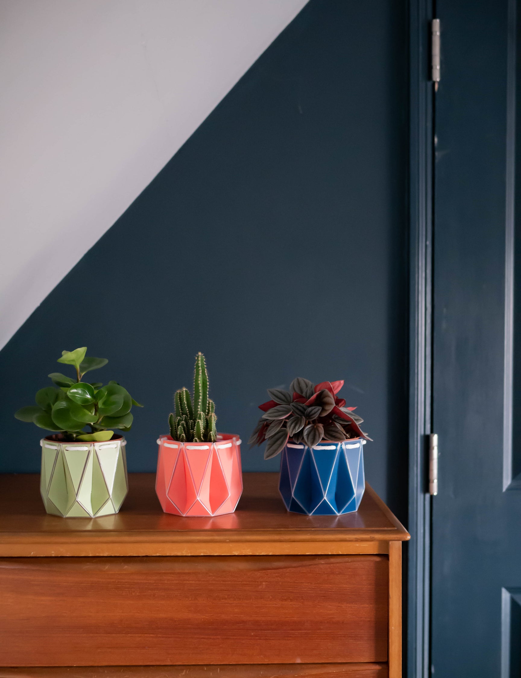 POTR Bundles POTR Pots