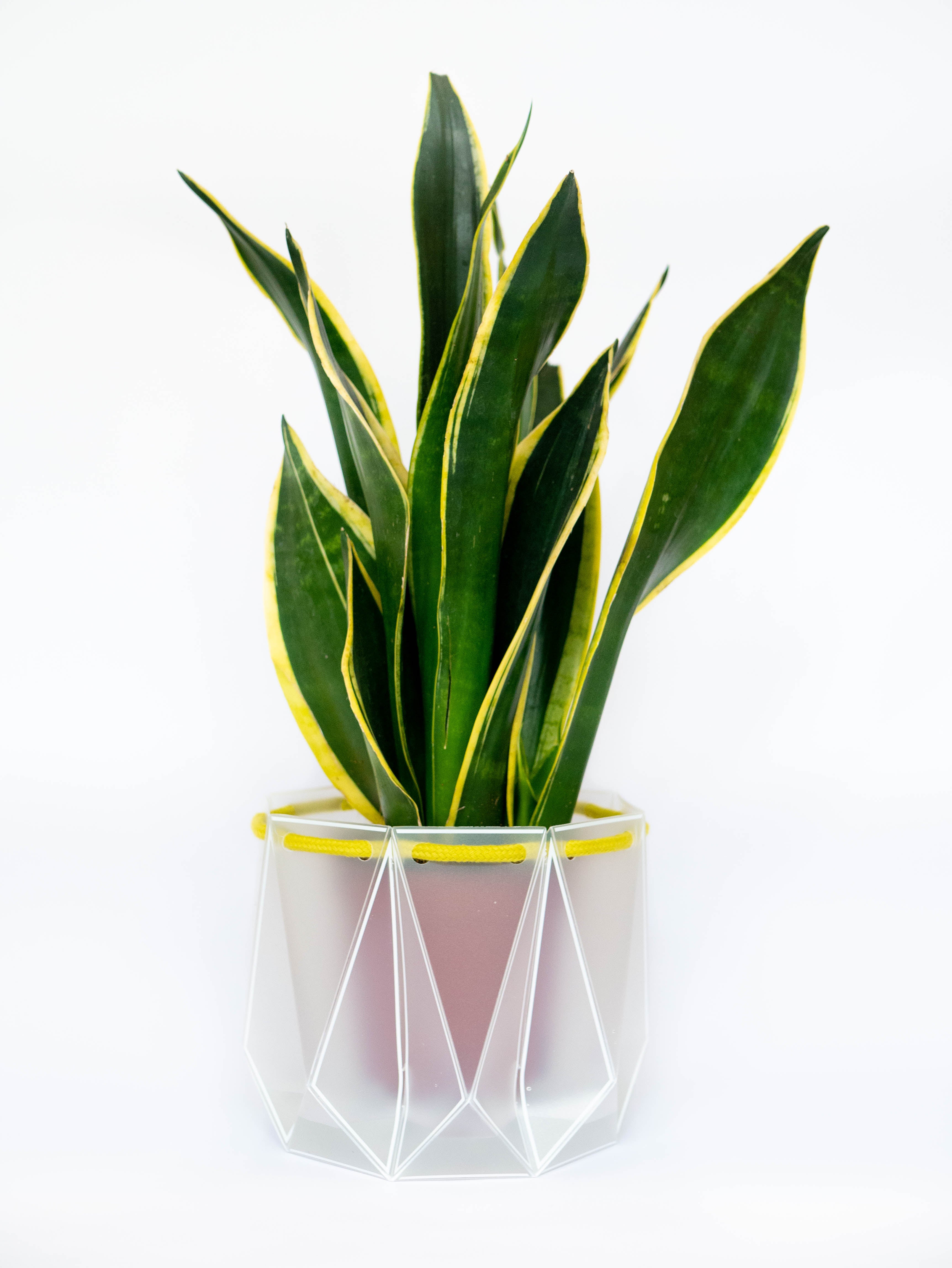 This Origami Pot Grows Along With A Plant's Roots