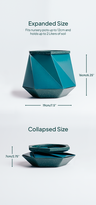 Collapsed Expanded Size