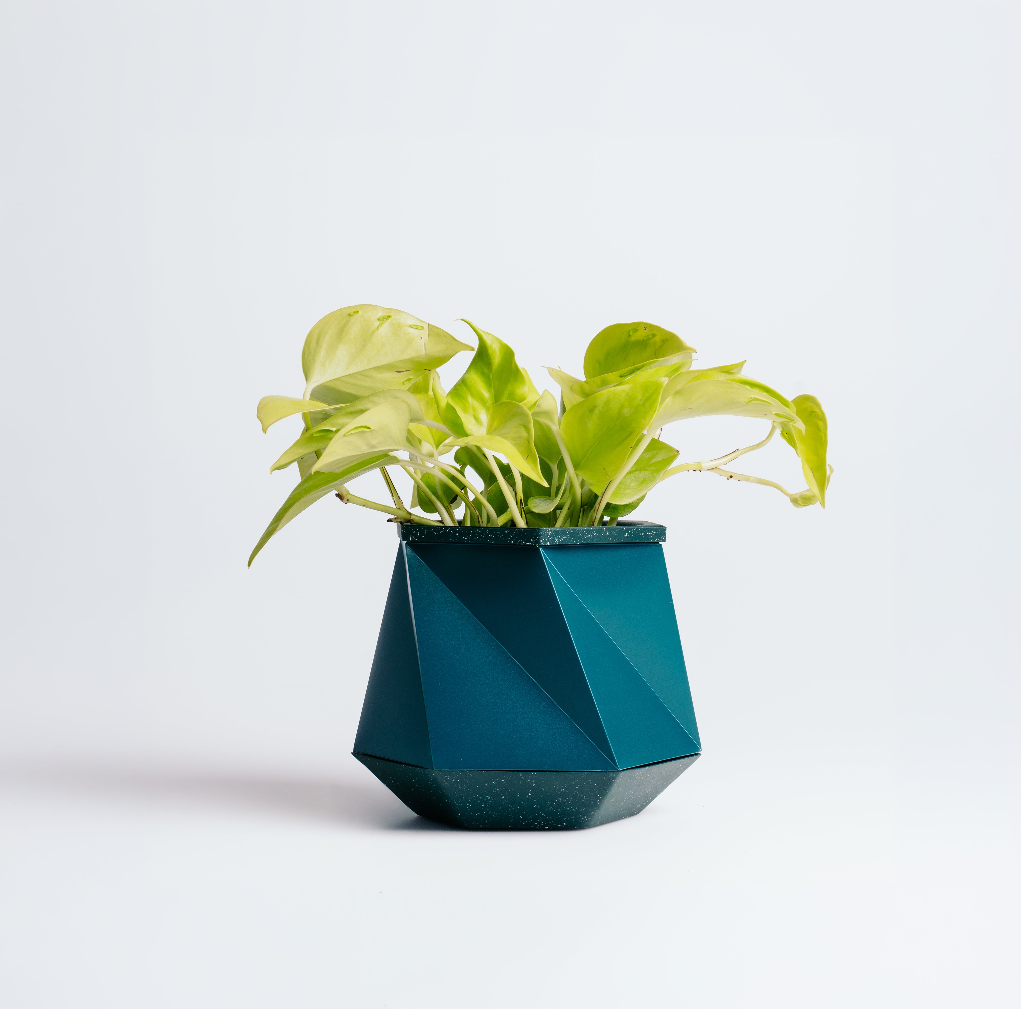 Dark Teal Helix pot