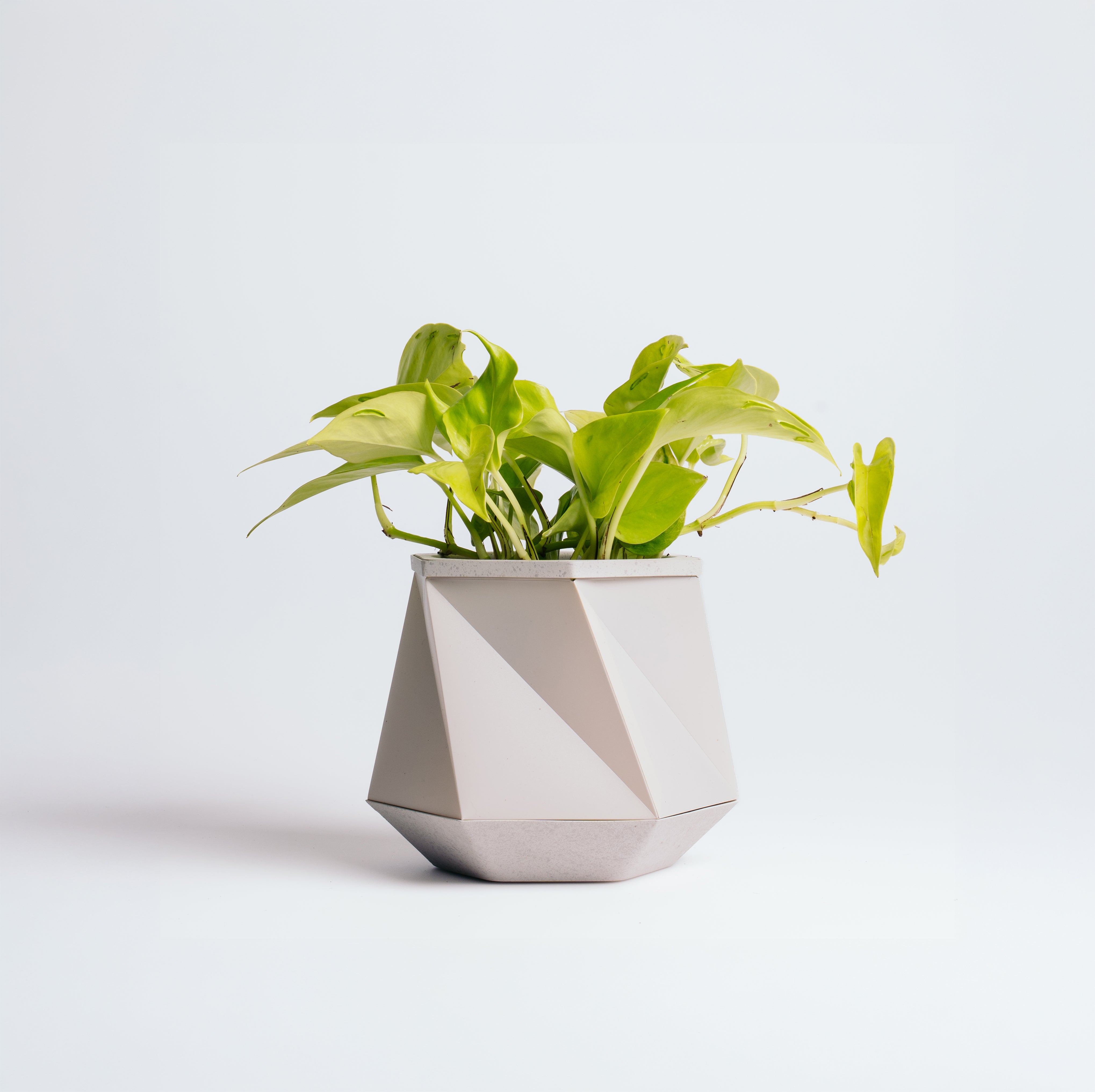 Stone Helix pot